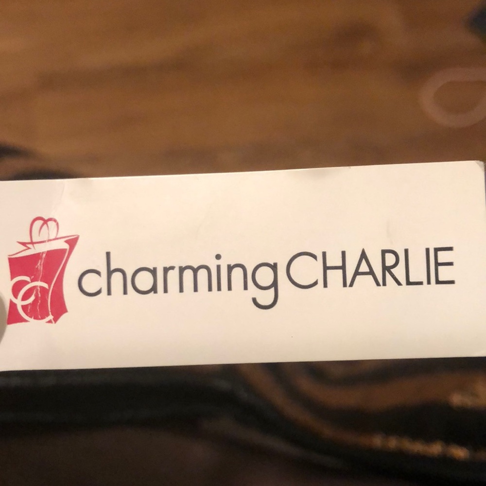Charming Charlie purse brand new